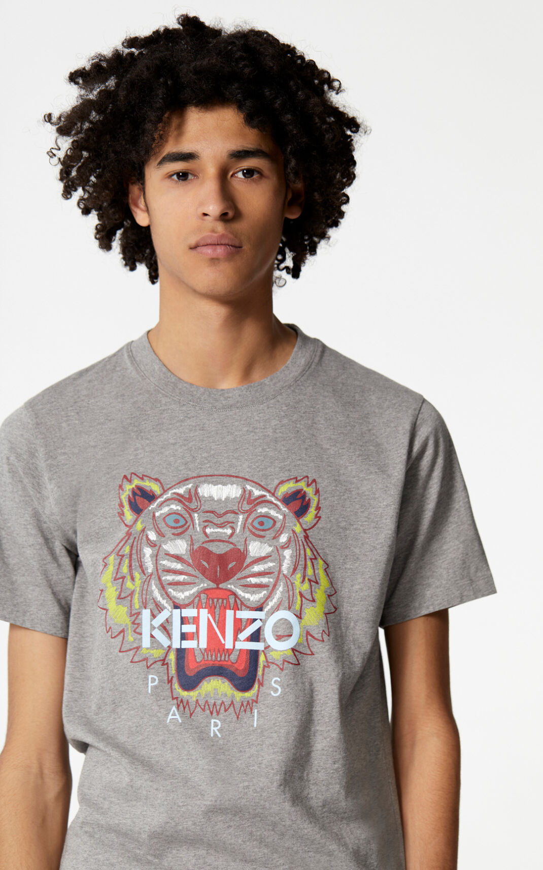 Kenzo Tiger μπλουζακια ανδρικα γκρι | GR839351